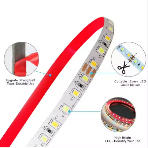 Fabbrica vendita Bicolore CCT LED striscia luce 24v Temperatura del colore regolabile 120led 12v luce 2835 LED striscia Decorazione