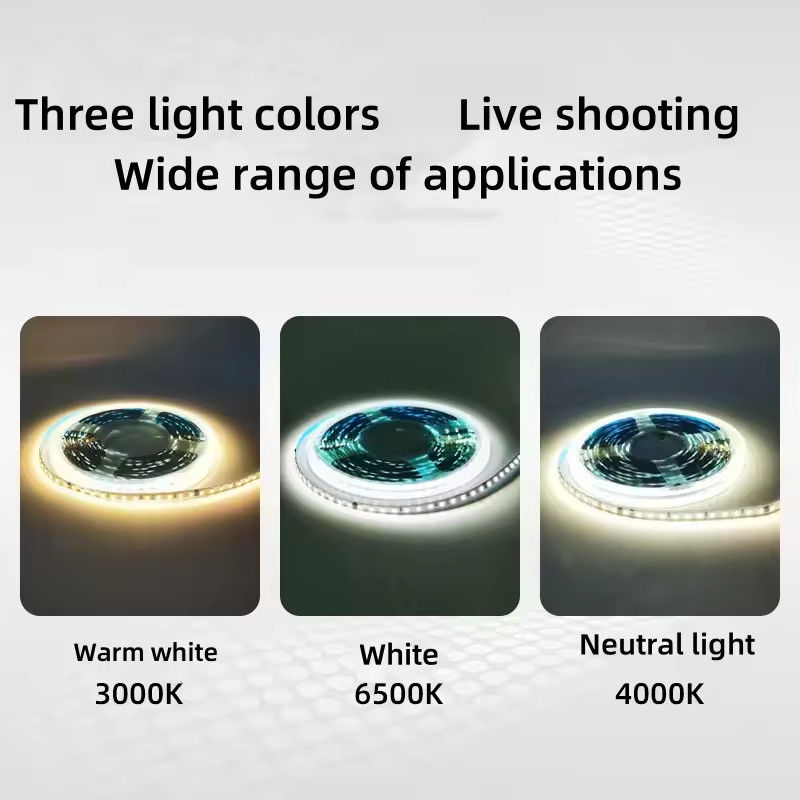 Lumi a striscia LED ad alta tensione per interni impermeabili 230v 220v caldo bianco 3000k 4200k 6500k striscia luminosa a led