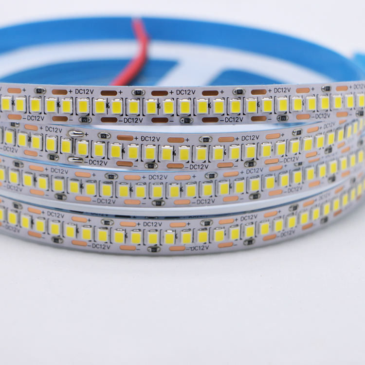 2835 240 led per metro LED Strip Light 80Ra 5m/roll IP20 Illuminazione interna