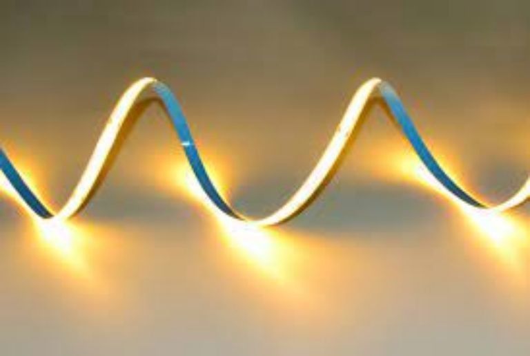 320 led/m LED COB Flessibile DC24V 12V 5m 10W per l'illuminazione paesaggistica -25 50C CRI 90