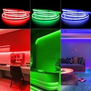 Peso del prodotto 0,3 kg 5m 10m Smart Strip Light con Dream Color RGB COB Chip LED