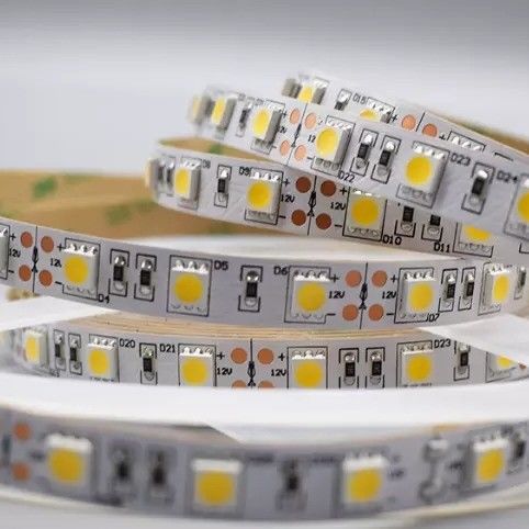 12w 12v 24v 10mm 60 LED Rgb 5050 Smd Flessibile LED Strip Light con e Multi Colors