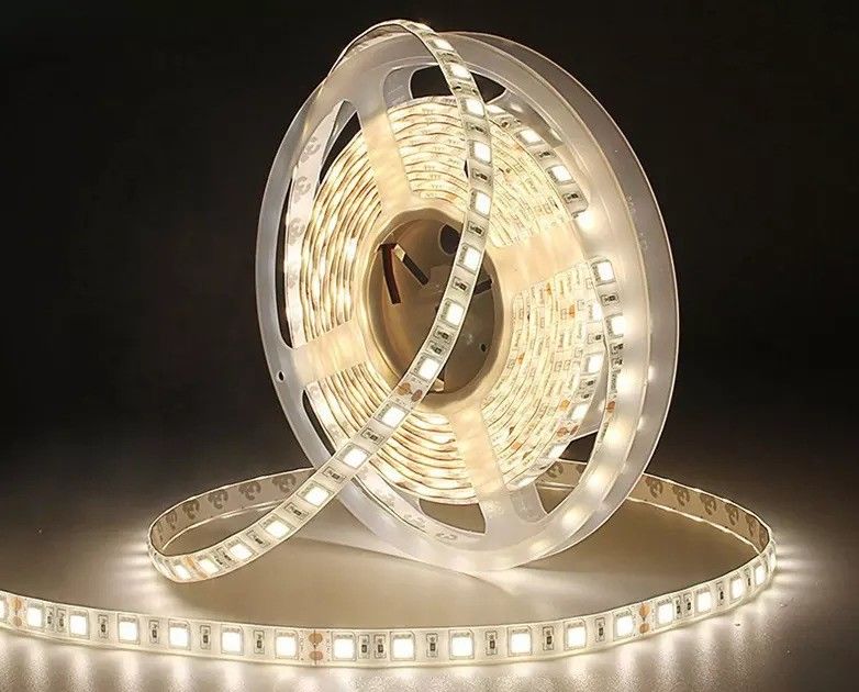 12w 12v 24v 10mm 60 LED Rgb 5050 Smd Flessibile LED Strip Light con e Multi Colors