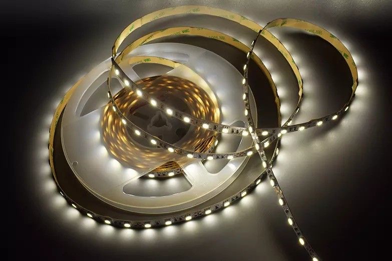 12w 12v 24v 10mm 60 LED Rgb 5050 Smd Flessibile LED Strip Light con e Multi Colors