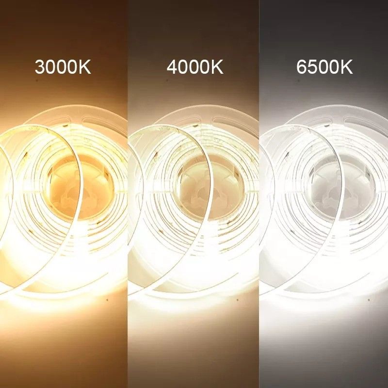 Luce al neon CCT RGBW RGBWW RGBIC RGB per illuminazione esterna 50000 ore lavorative