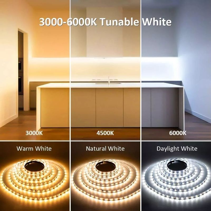 Rating IP20 Illuminazione per il paesaggio 5m 10m 12v 24v 220v Rgbw Cob Light Strip