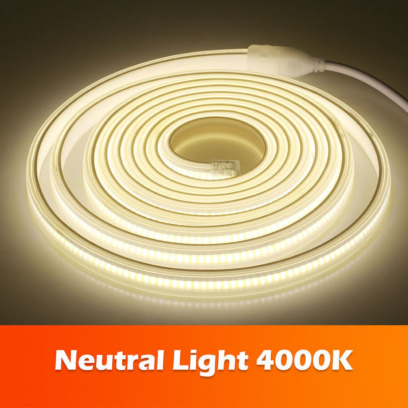 220v 280LED/m Bianco/Bianco Caldo/Bianco Neutro COB LED Strip CE RoHS 100m 50m Alta tensione