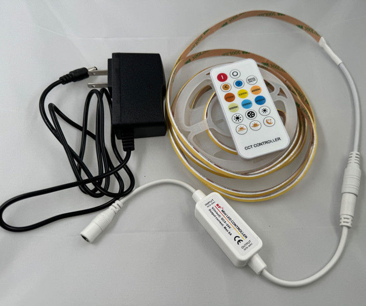 Kit di strisce a LED a tensione di ingresso DC12V/24V con luci COB dimmabili e driver intelligente