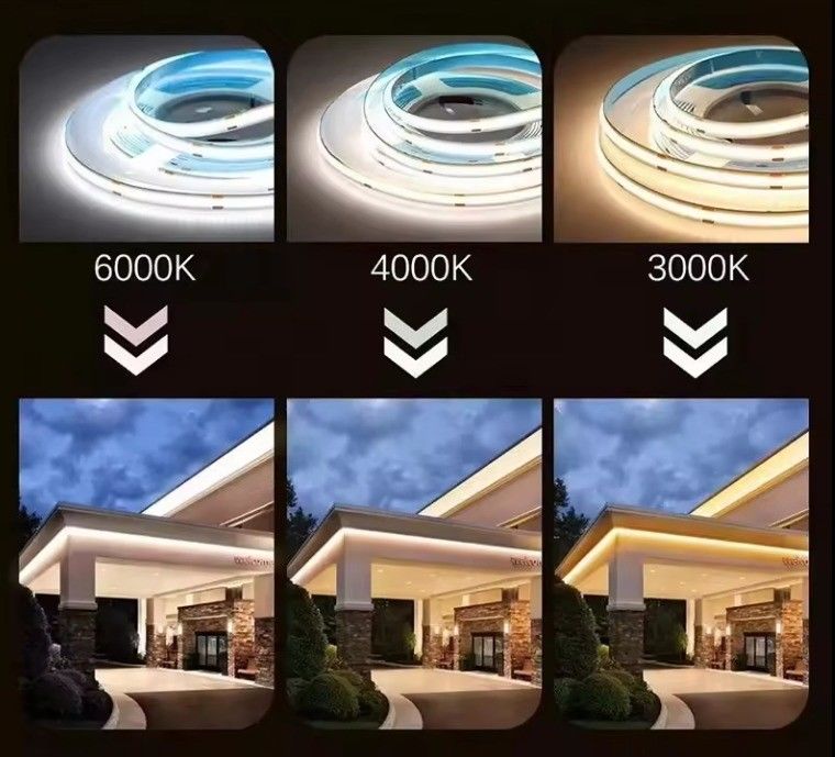 Luce a striscia ad alta tensione a LED con connettore e CRI Ra 80 70-80 lm/W Lampada Efficienza luminosa