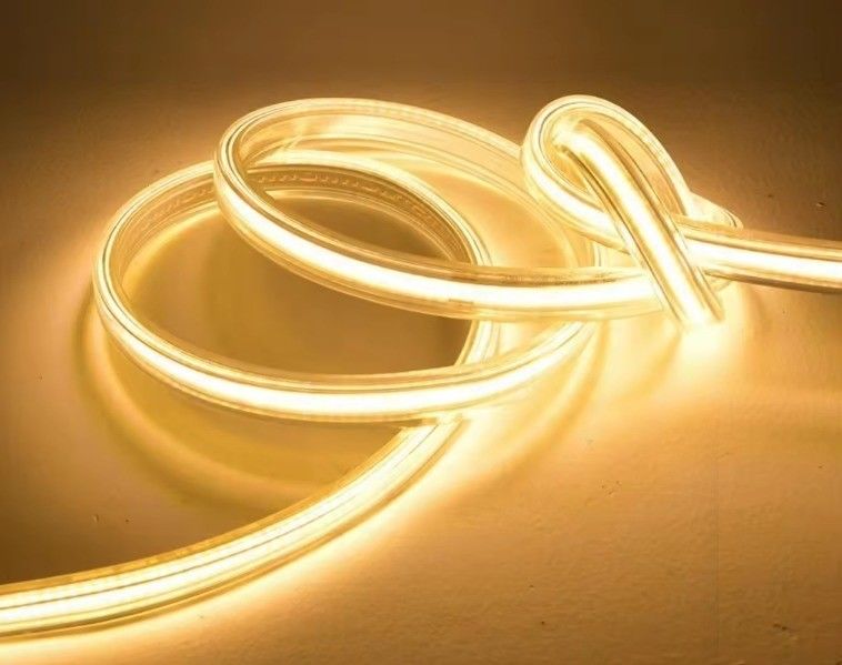 220V 110V Smart LED Strips Modern Waterproof Outdoor Long Strip Lighting con presa UE e presa USA