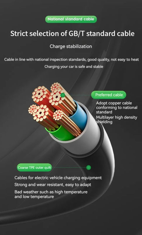 Caricabatterie per veicoli elettrici di dimensioni singole da 45X28X18 cm per la ricarica nella gamma di temperatura da -30 °C a 55 °C